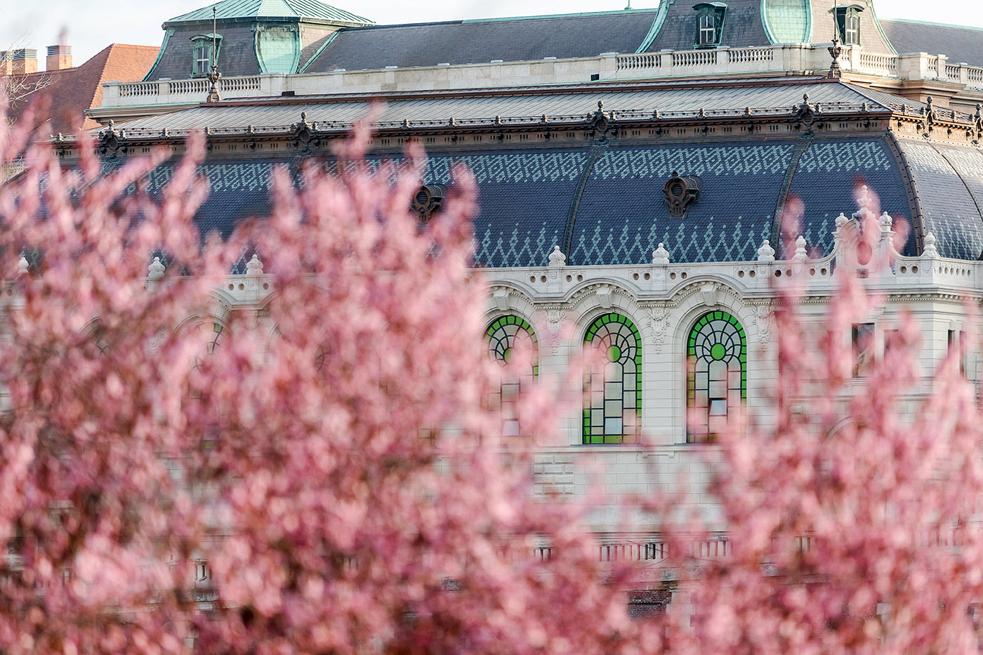 Royal Riding School in spring #8