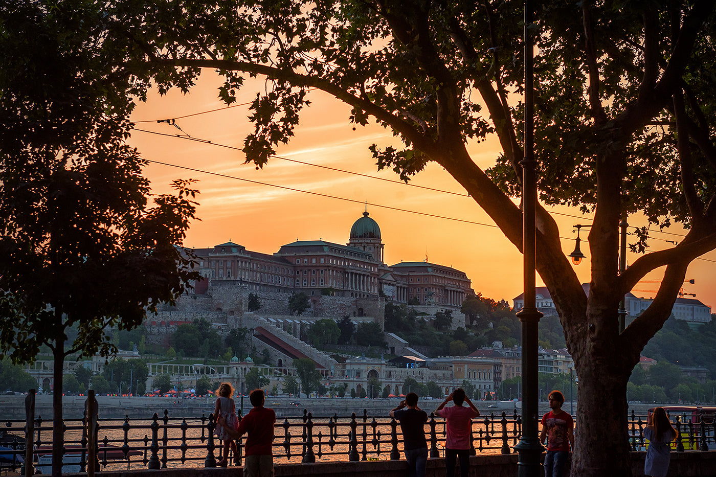 Buda Castle from the Danube Promenade #20