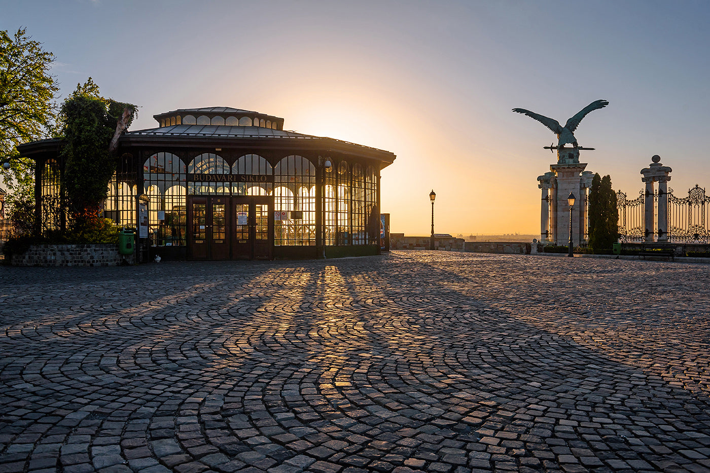 Turul Bird Statue and the Funicular in Buda Castle #38