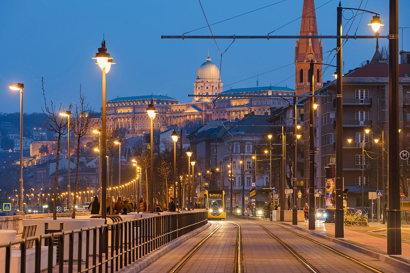 Buda Castle from Batthyány Square #53