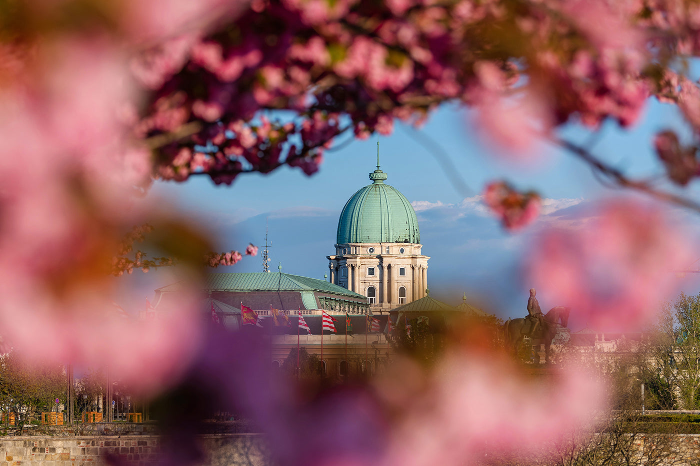 Buda Castle from the Tóth Árpád promenade in spring #56