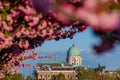 Buda Castle from the Tóth Árpád promenade in spring #57