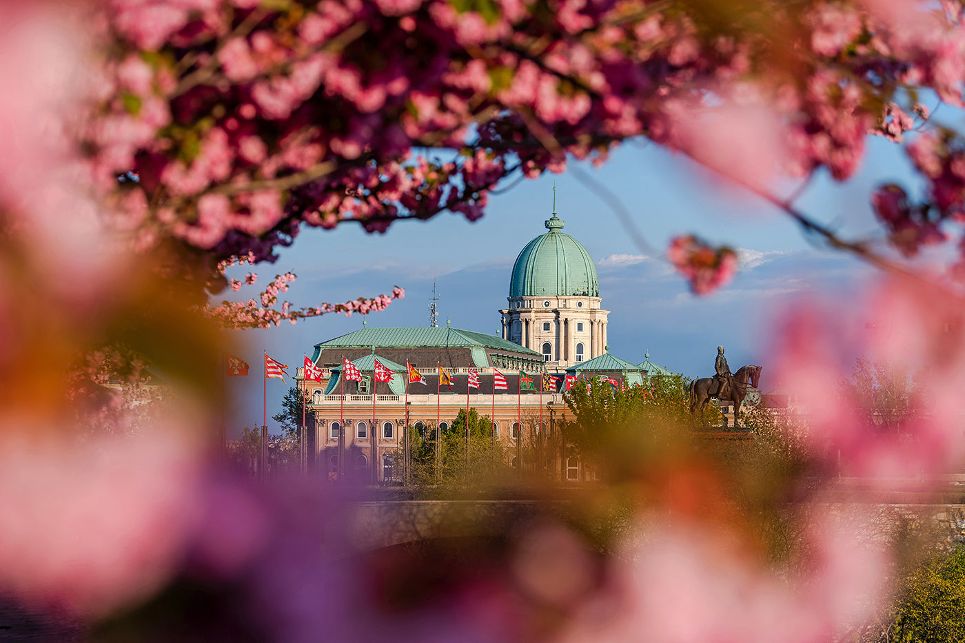 Buda Castle from the Tóth Árpád promenade in spring #58