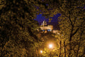Buda Castle from Gellért Hill #60