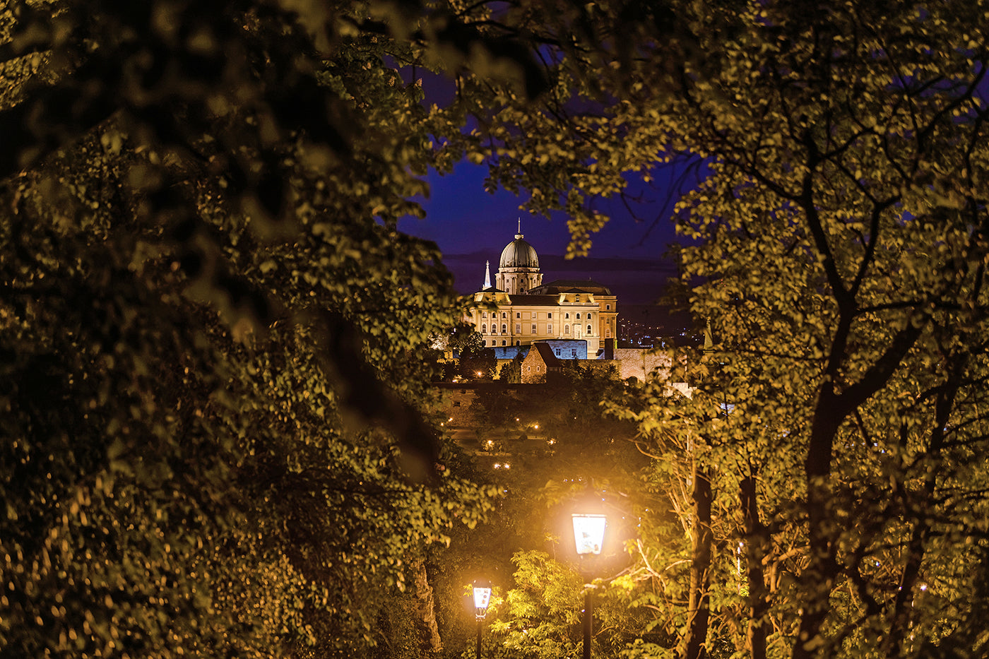 Buda Castle from Gellért Hill #60
