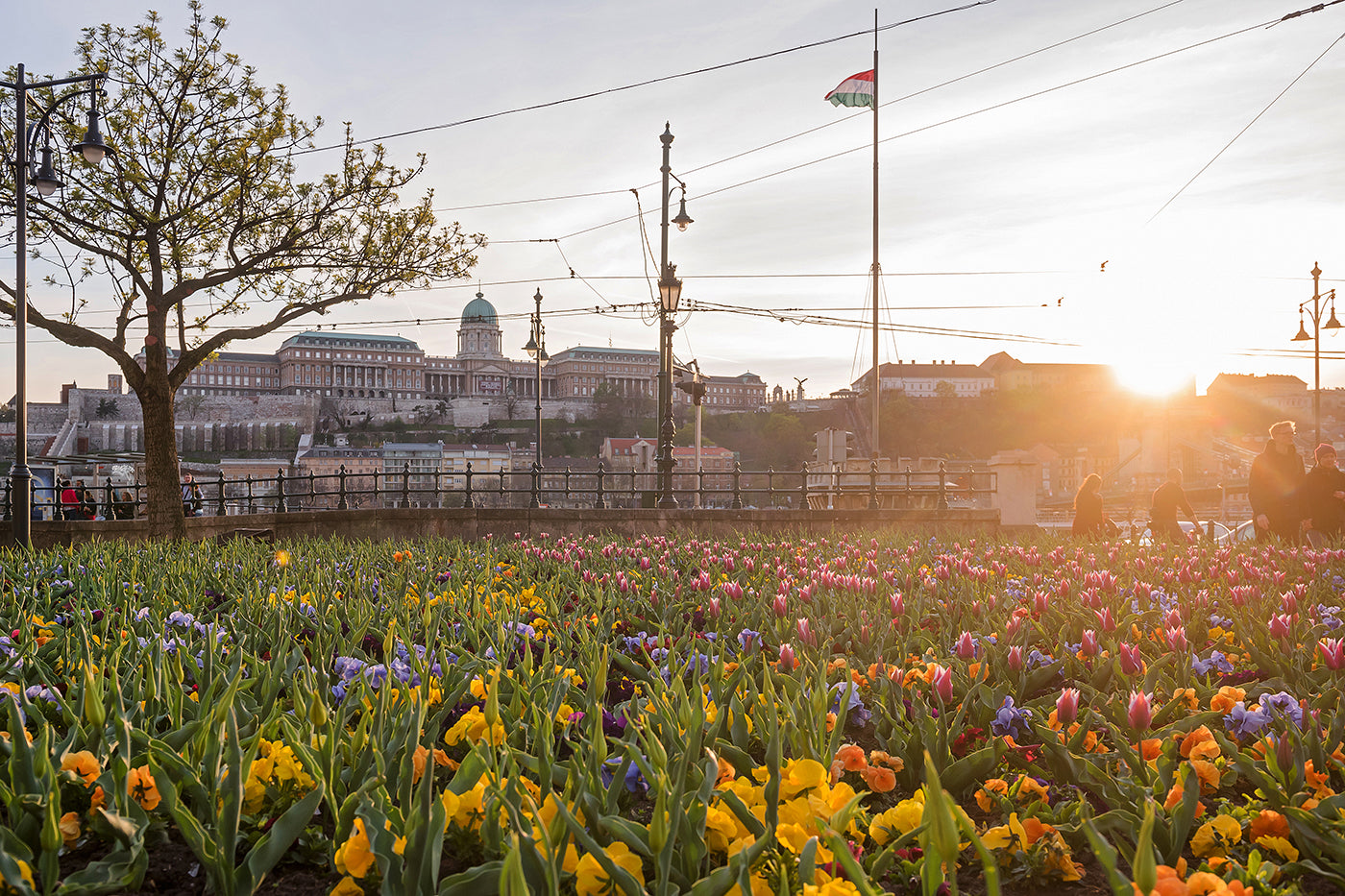 Buda Castle in spring from Eötvös Square #63