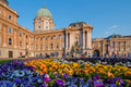 Buda Castle in spring #69