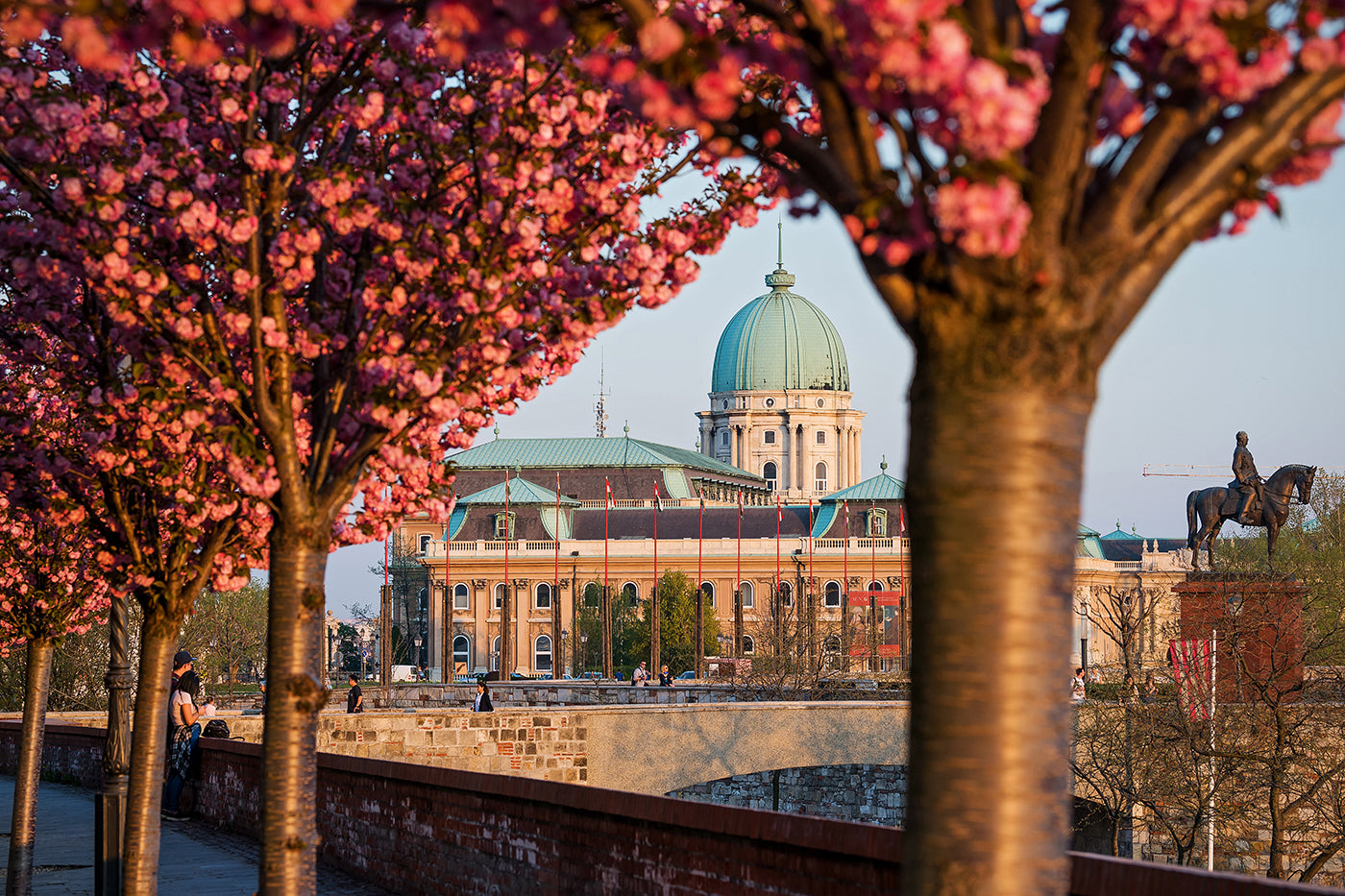 Buda Castle from the Tóth Árpád promenade in spring #70