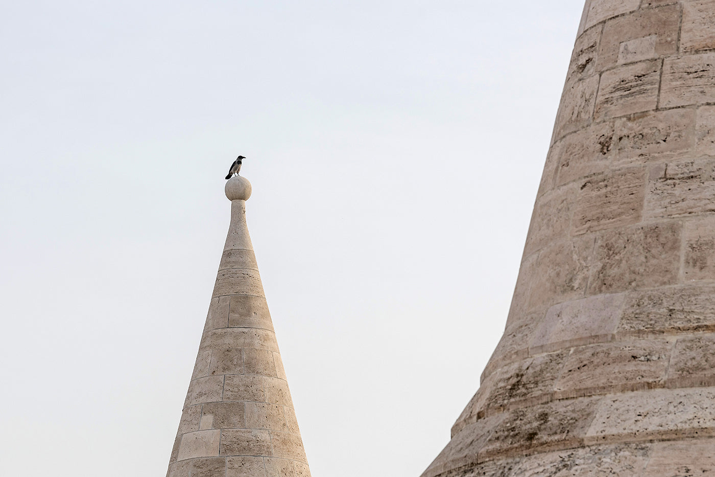 Crow on top of one of the towers of the Fisherman's Bastion #86