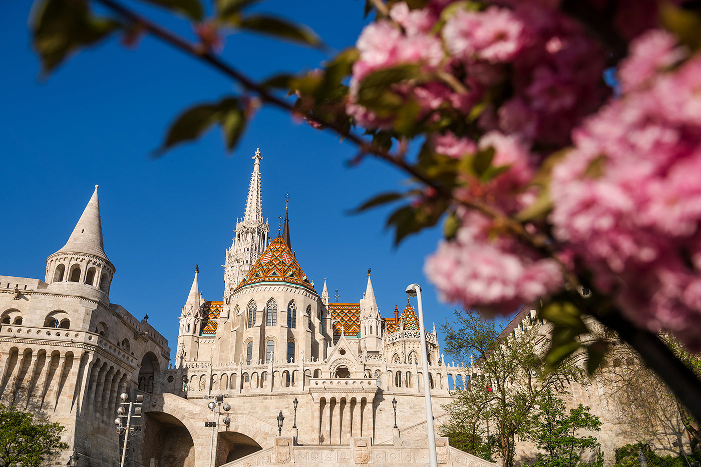 Fisherman's Bastion in Spring #108