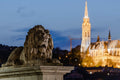 The Lion of the Chain Bridge and Matthias Church #269
