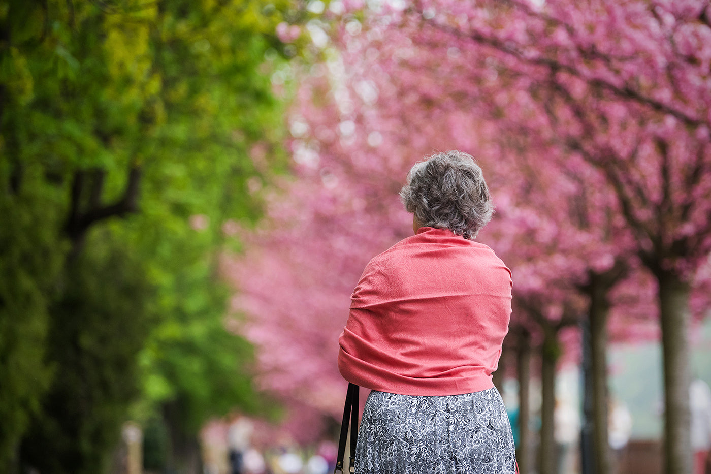 Harmony of colors on the Tóth Árpád promenade #304