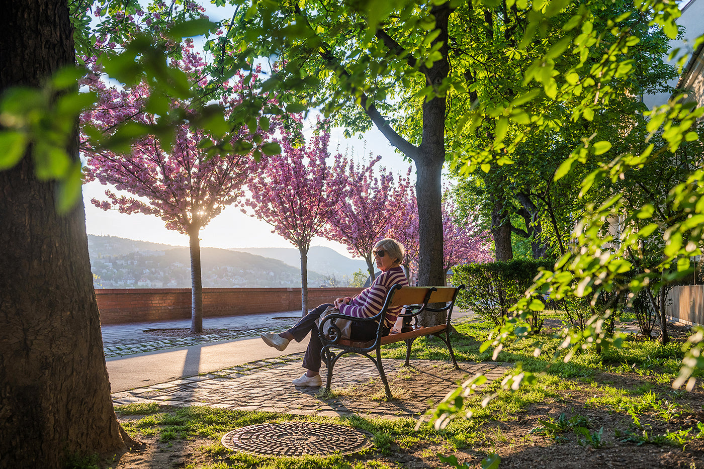Sitting on a bench on the Tóth Árpád promenade #309