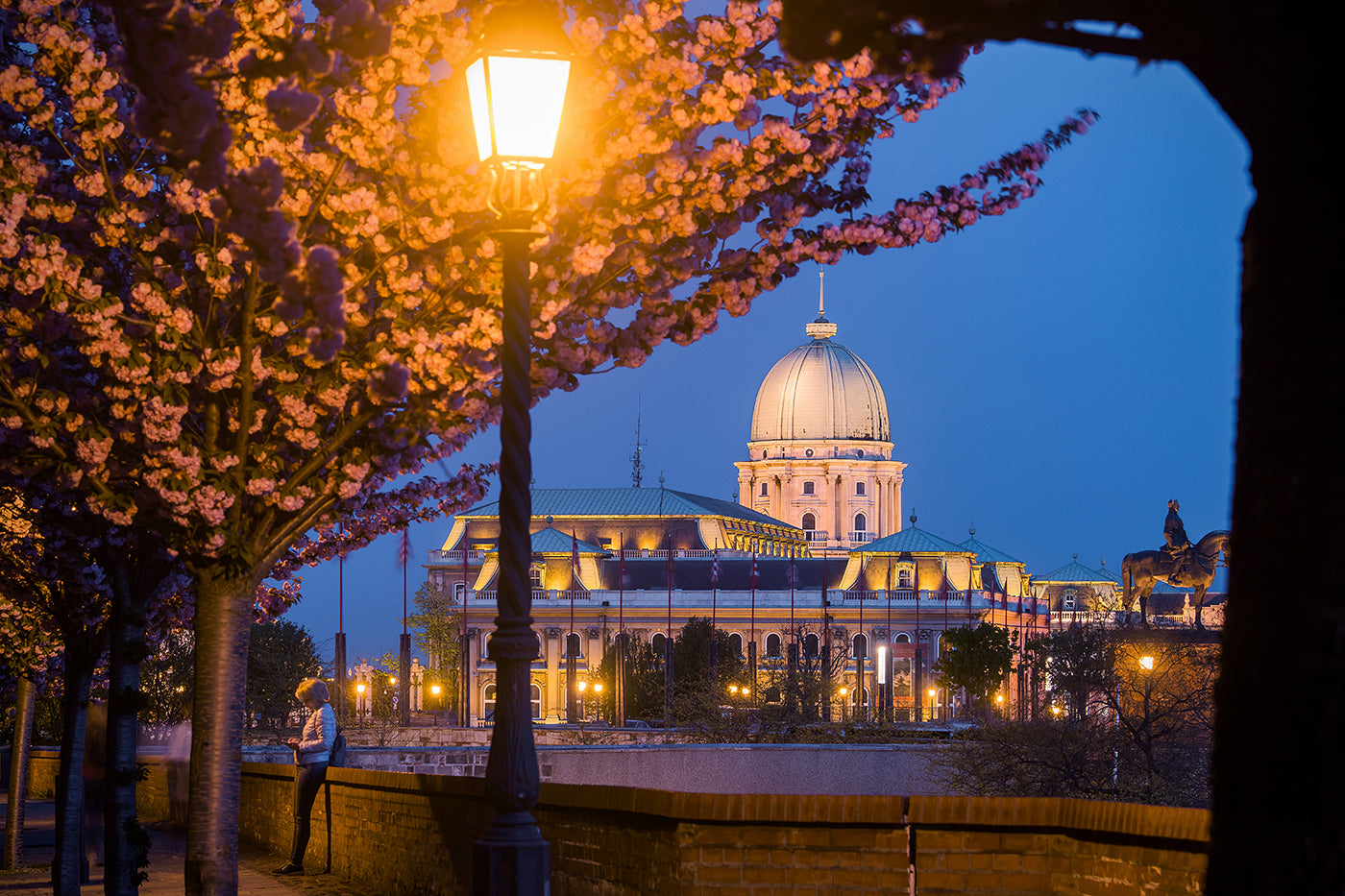 Buda Castle from the Tóth Árpád Promenade #314