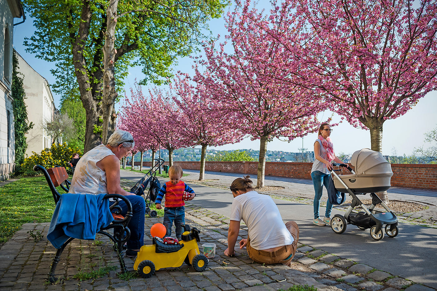 Árpád Tóth Promenade in Spring #316