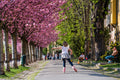 Little girl rollerblading on the Tóth Árpád promenade #317