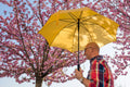 Árpád Tóth Promenade in spring #320