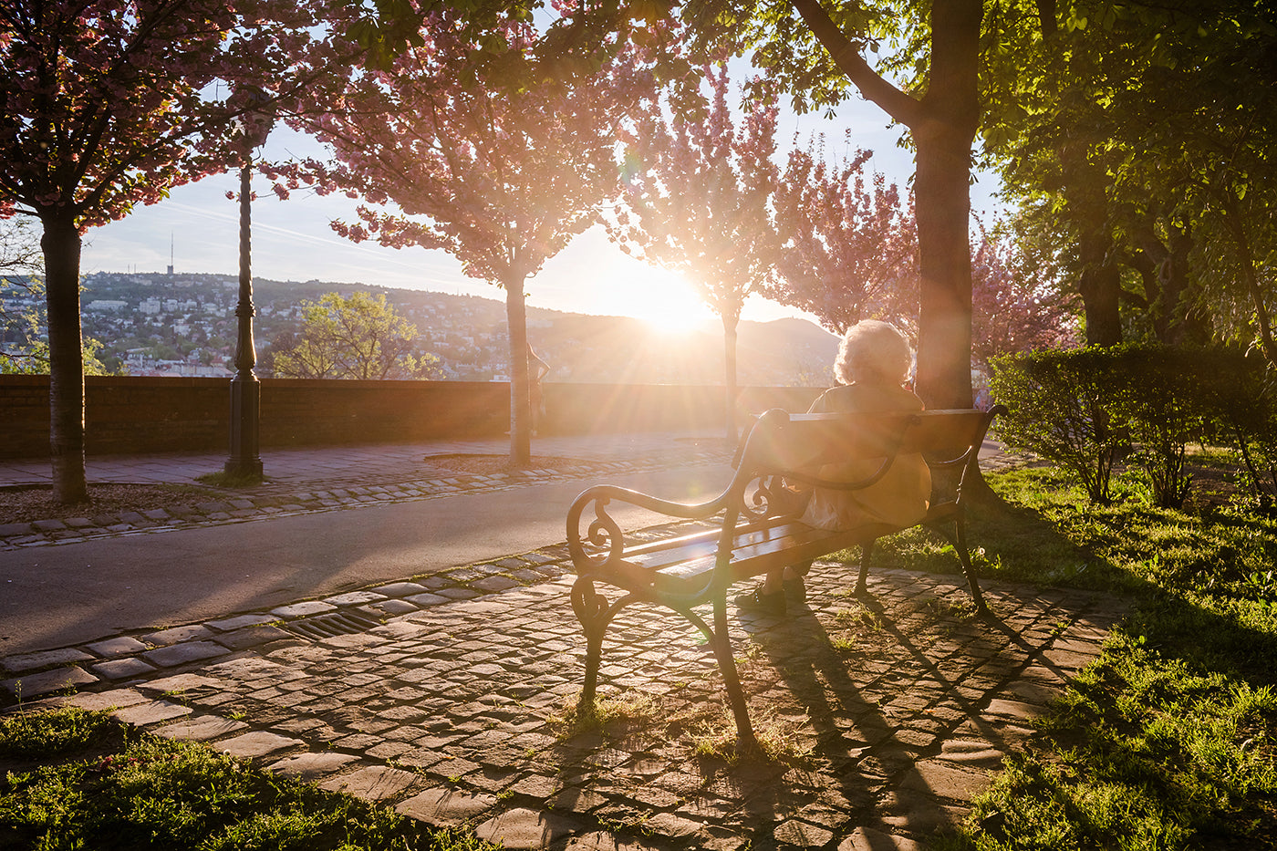 Sitting on a bench on the Tóth Árpád promenade #321