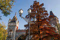 Vajdahunyad Castle in autumn #331