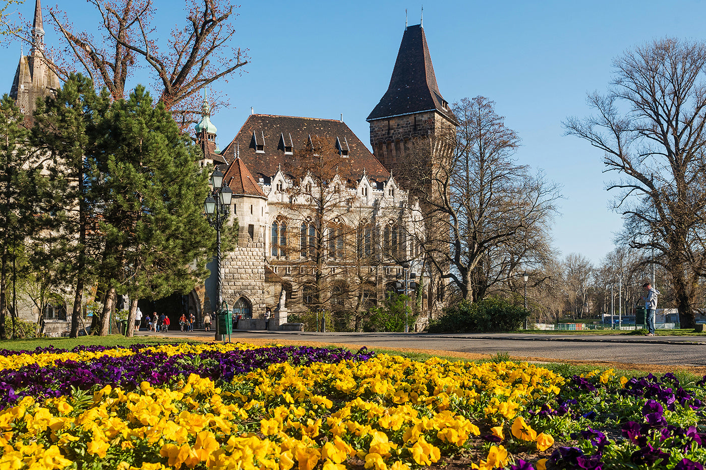 Vajdahunyad Castle with flowers #333