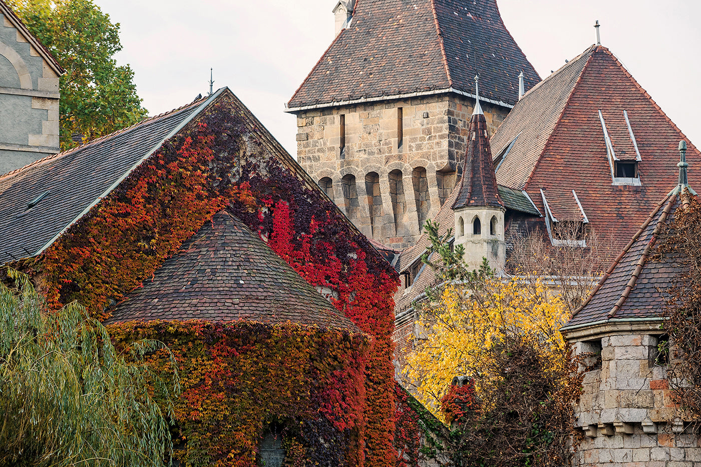 Vajdahunyad Castle in autumn #341