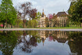 Vajdahunyad Castle reflected in a puddle #348