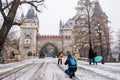 Snowy Vajdahunyad Castle #366