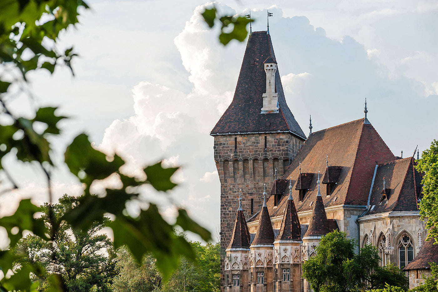 Vajdahunyad Castle in summer #368