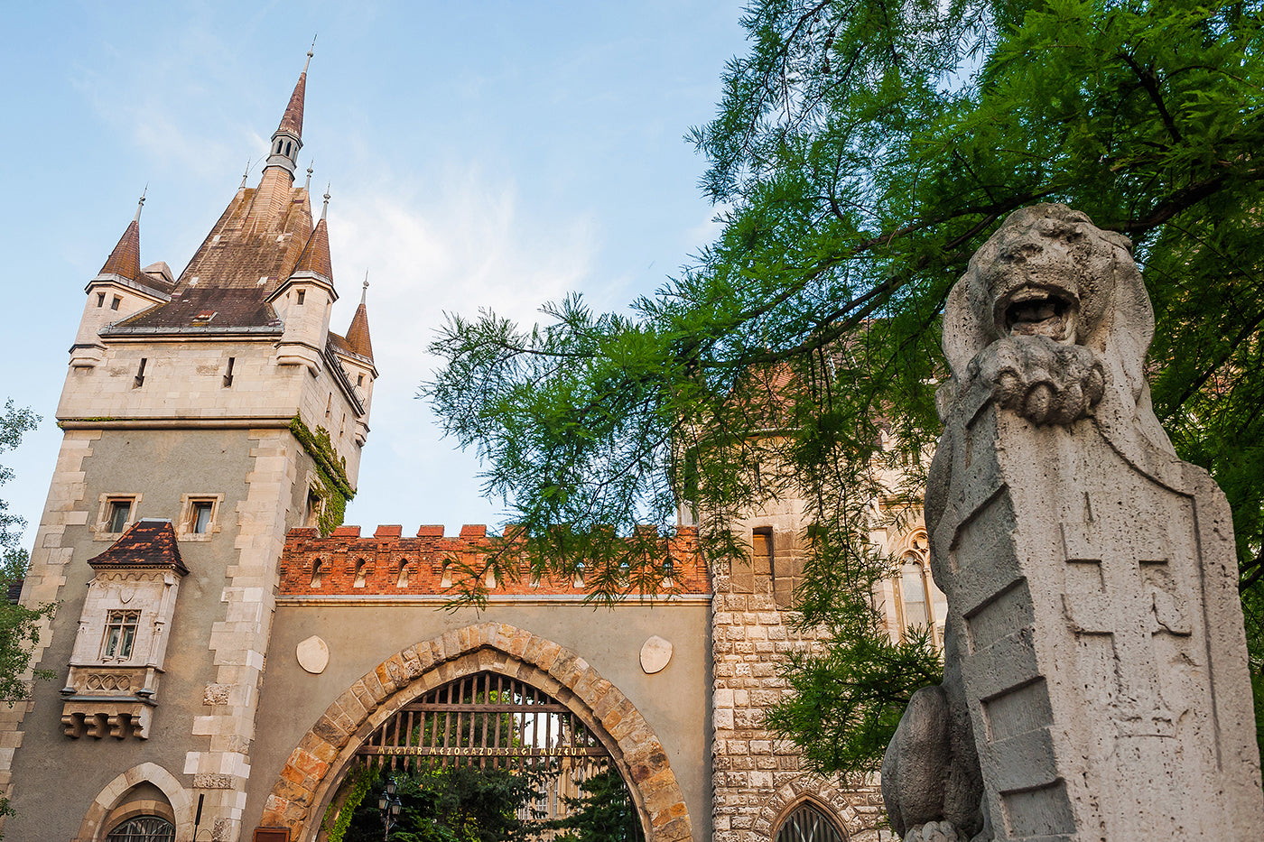 Vajdahunyad Castle in summer #371