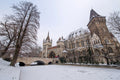 Snowy Vajdahunyad Castle #389