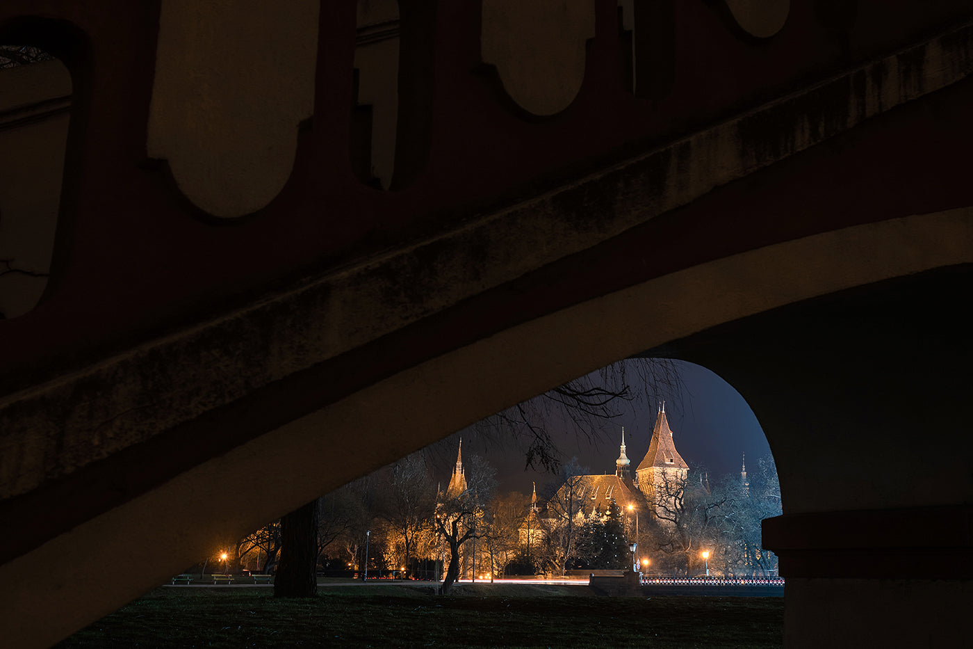 Vajdahunyad Castle at night #394