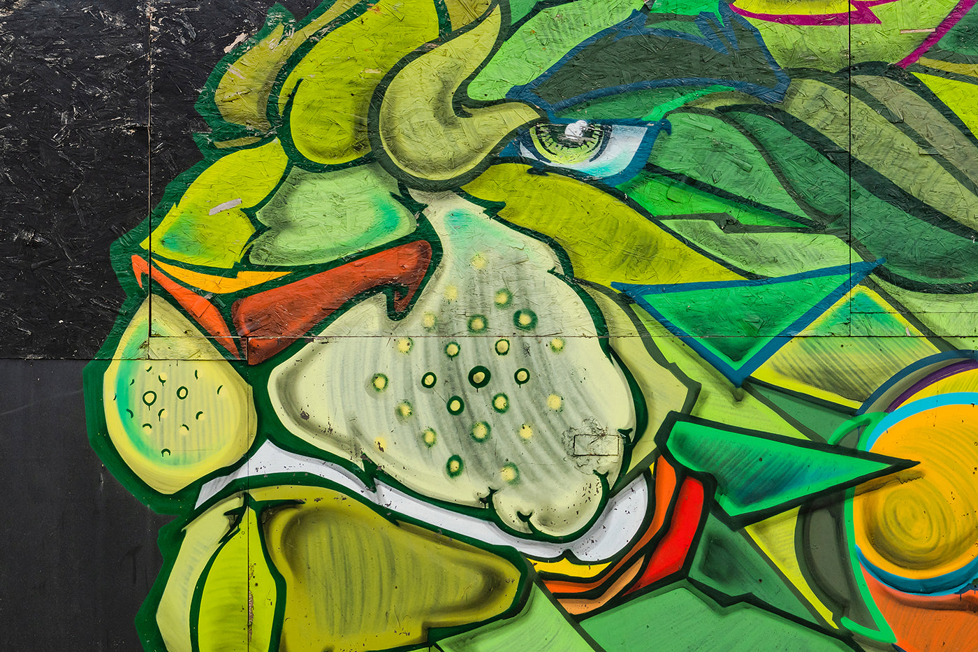 Mural on Barba Negra Track page #495