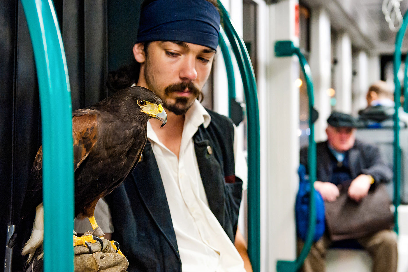 Eagle on tram 4/6 #513