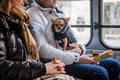 Dog on bus line 7 #528