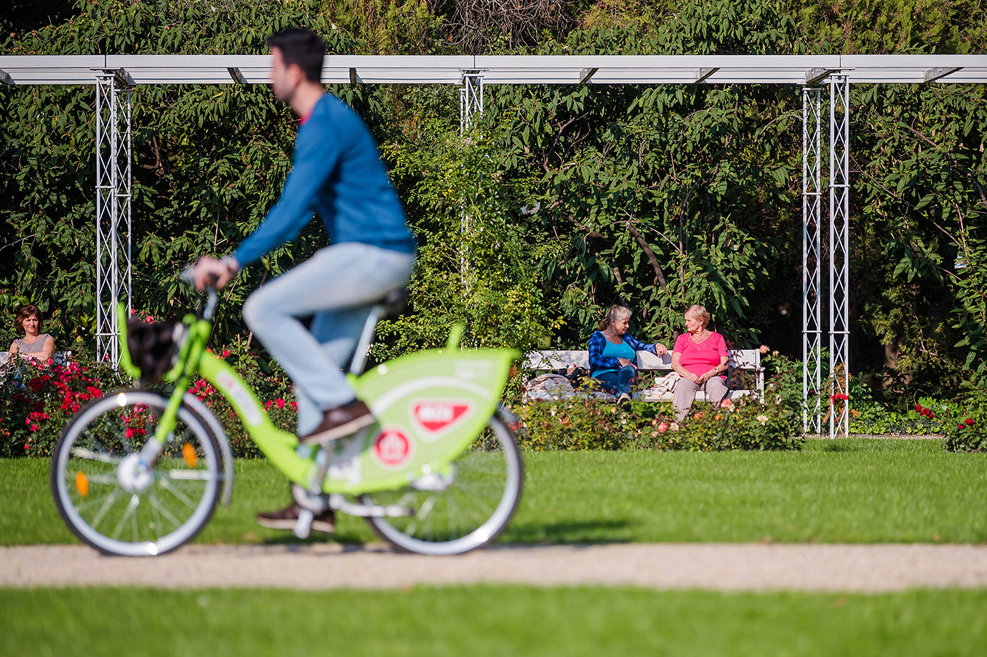 Margaret Island life picture #553