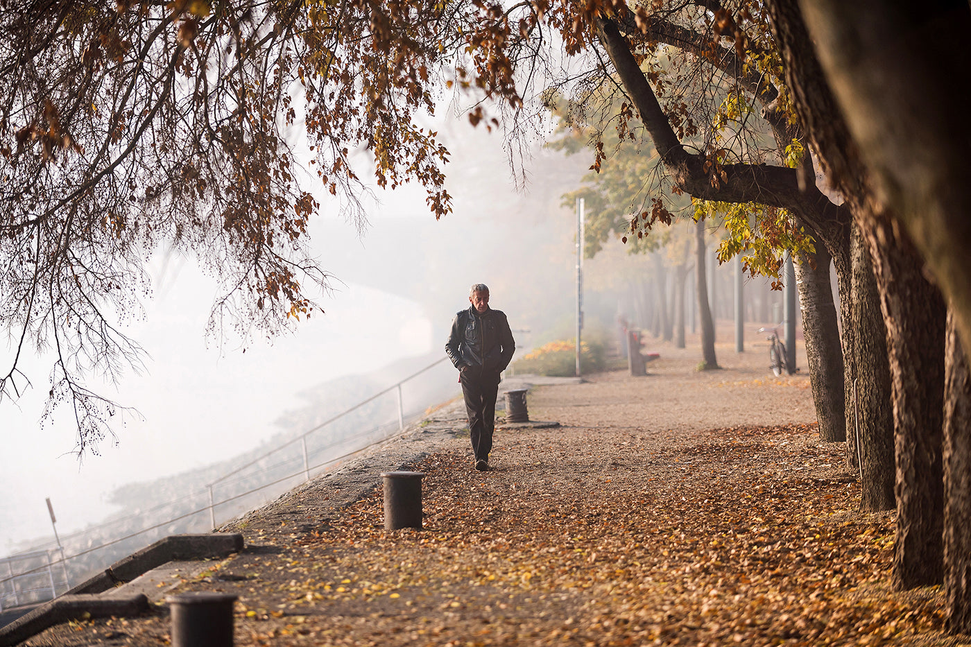 Autumn walk on Margaret Island #568