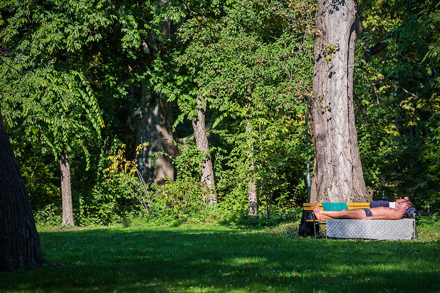 Sunbathing on Margaret Island #574