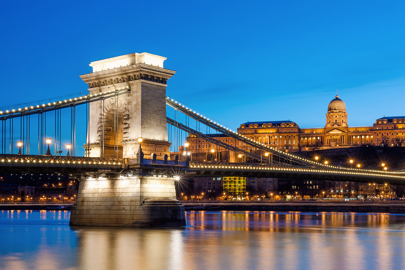 Chain Bridge and Buda Castle at night #578