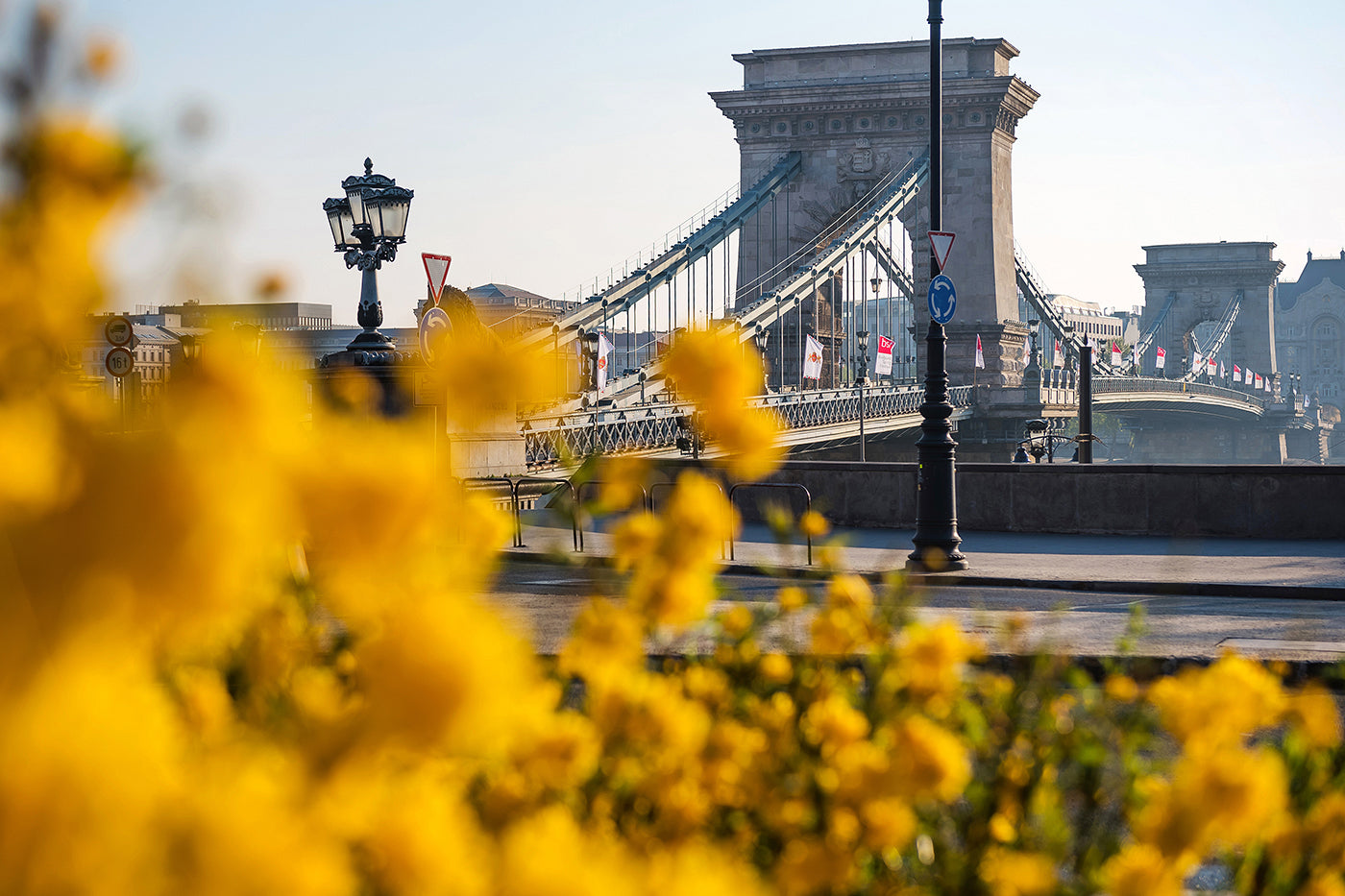 Chain Bridge from Clark Ádám Square in spring #587