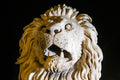 Lion at the Chain Bridge #589