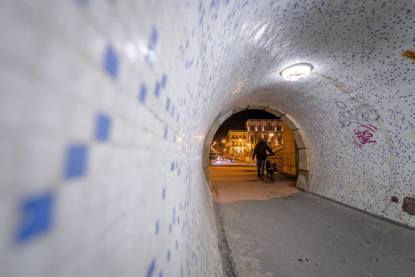 Tunnel under the Chain Bridge #615