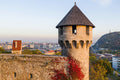 Mace Tower in Autumn with Drone #648