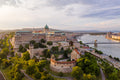 Buda Castle in summer with drone #649