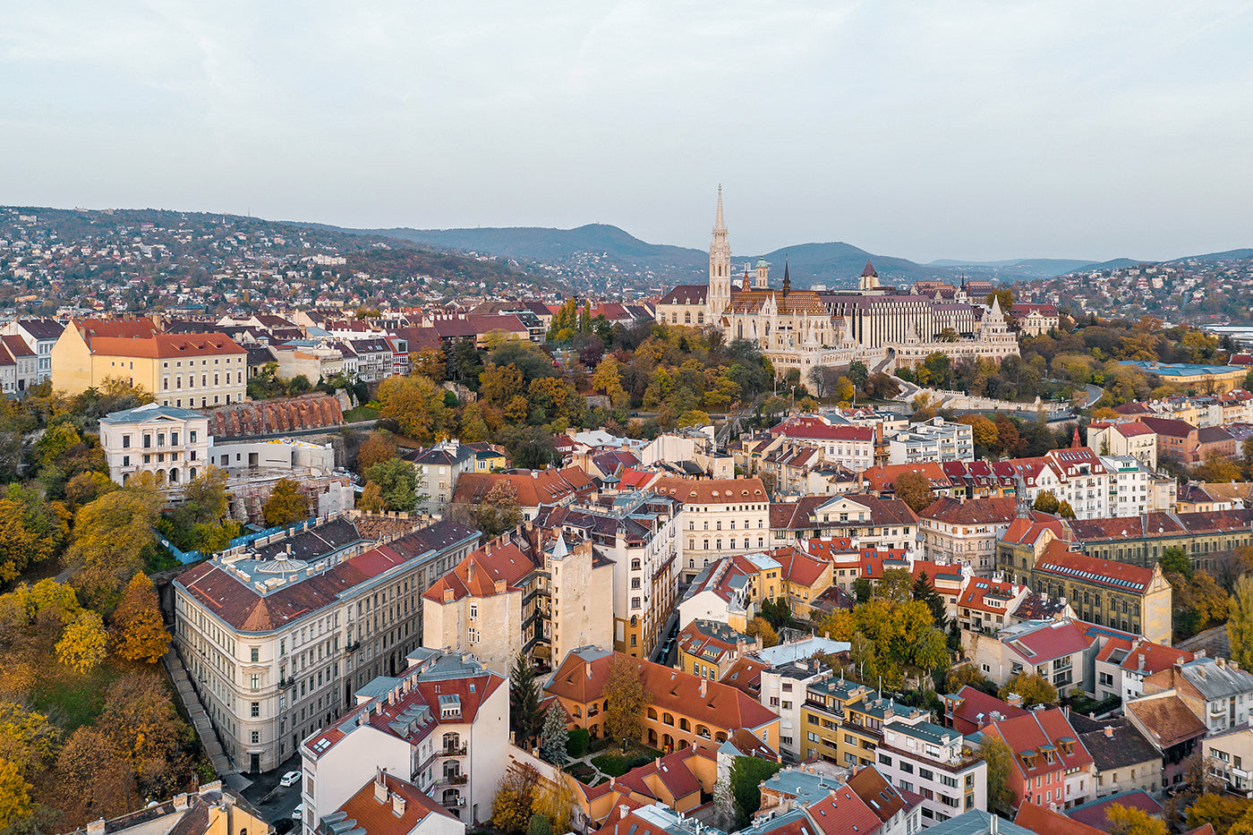 Buda Castle District in autumn with drone #653