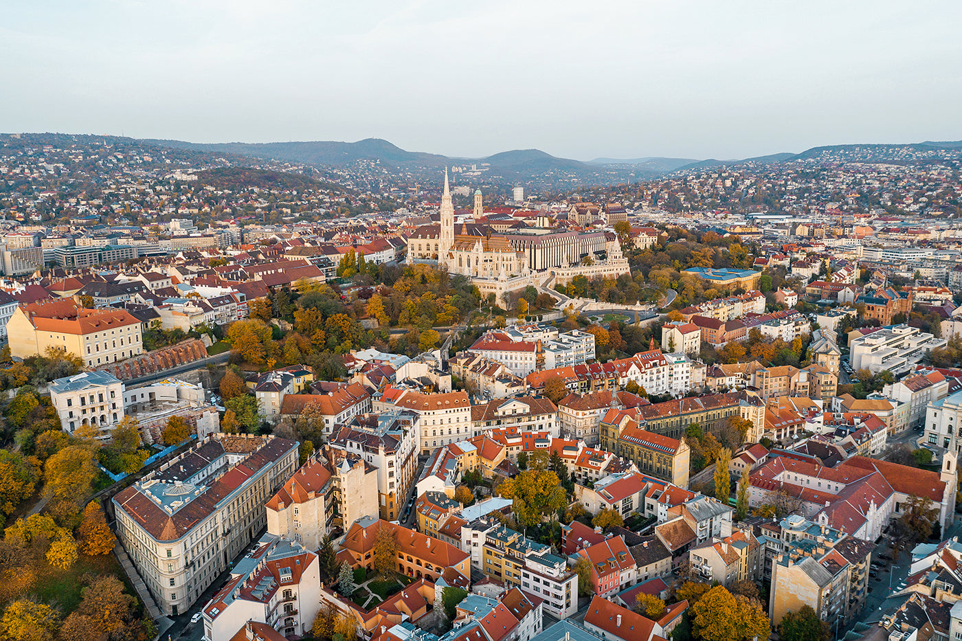 Buda Castle District in autumn with drone #654