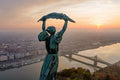 Statue of Liberty in autumn with drone #696