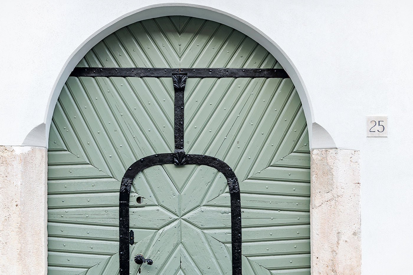 Gate on Fortuna Street #918