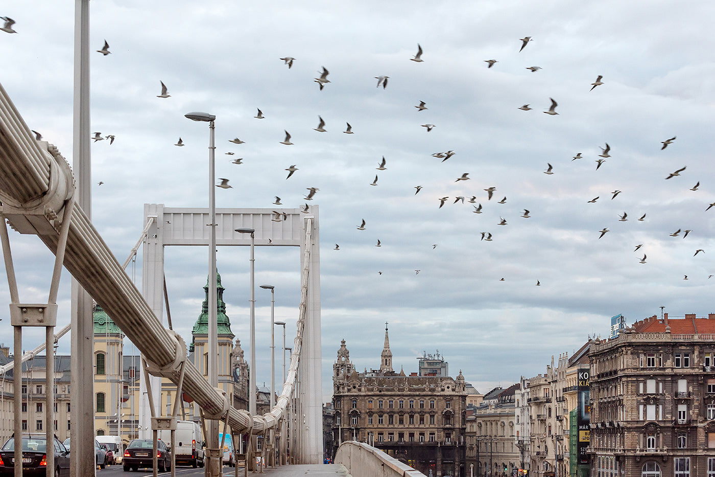 Elizabeth Bridge from the Buda side #1064