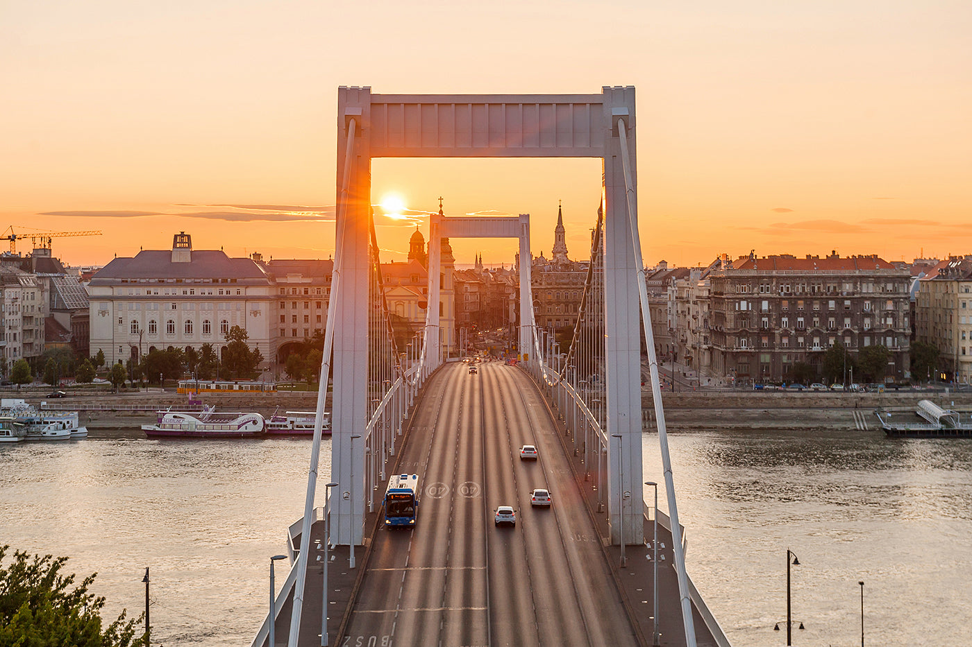 Elizabeth Bridge from Gellért Hill at sunrise #1067