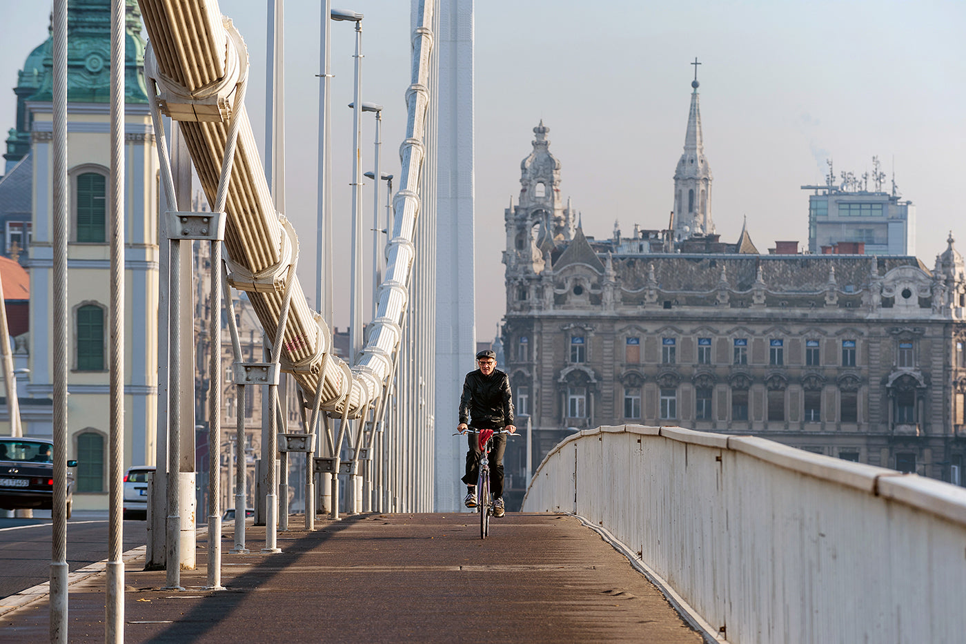 Cyclist on the Elizabeth Bridge #1088